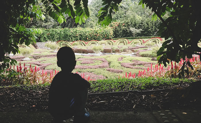 Oase Botanischer Garten