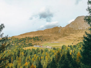 Meraner Herbst