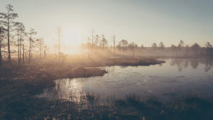 Viru See Sonnenaufgang
