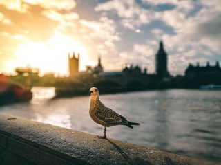 Insider Tipps London