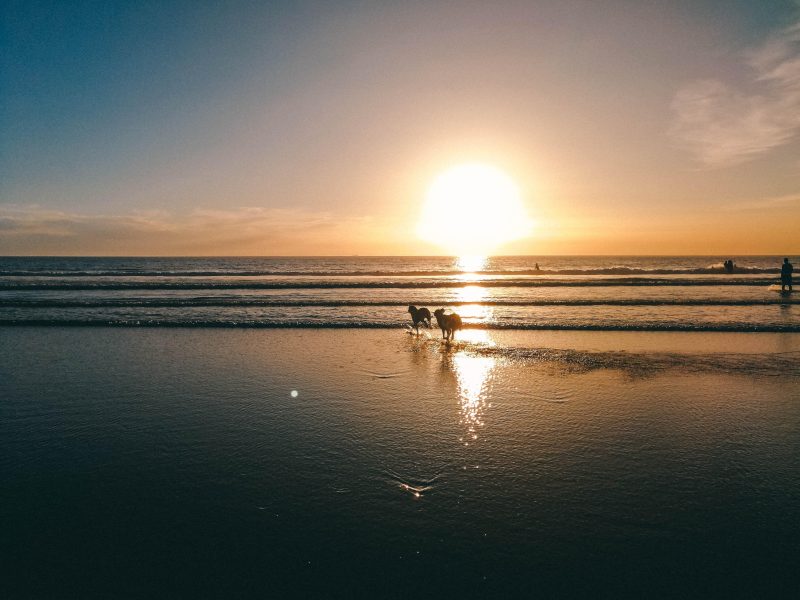 Tipps für Taghazout