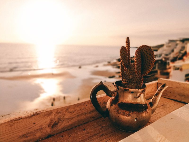 Tipps für Taghazout