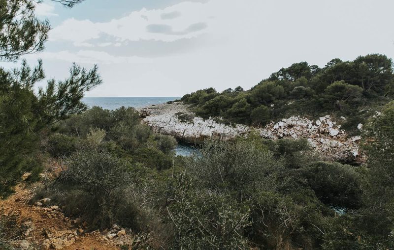 cala murta porto cristo