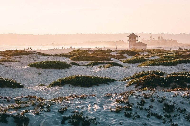 Coronado Strand