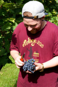 Wochenende in Stuttgart - Weingut Haidle