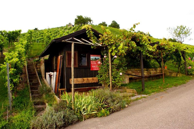 Wochenende in Stuttgart Weinberge Weingut Currle