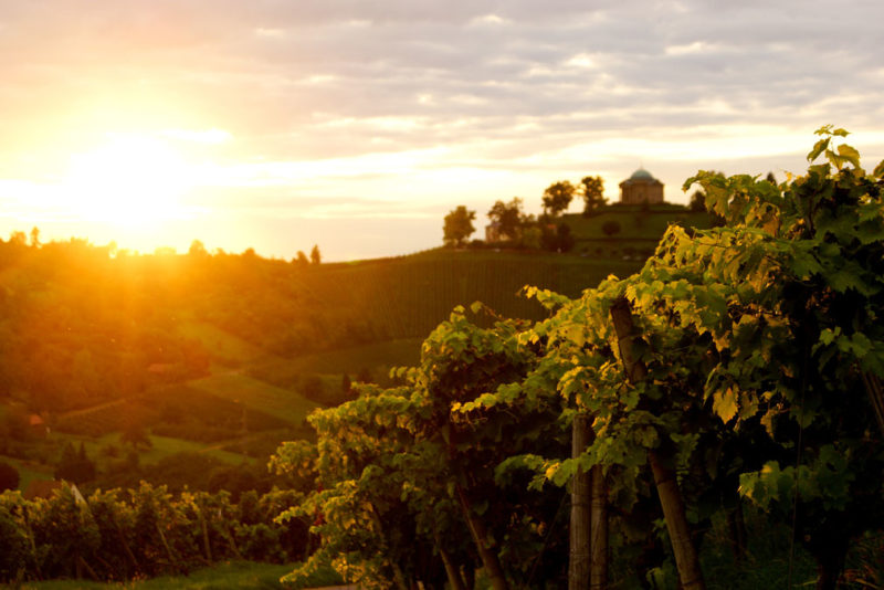 Wochenende in Stuttgart Weinberge Weingut Currle Grabkapelle