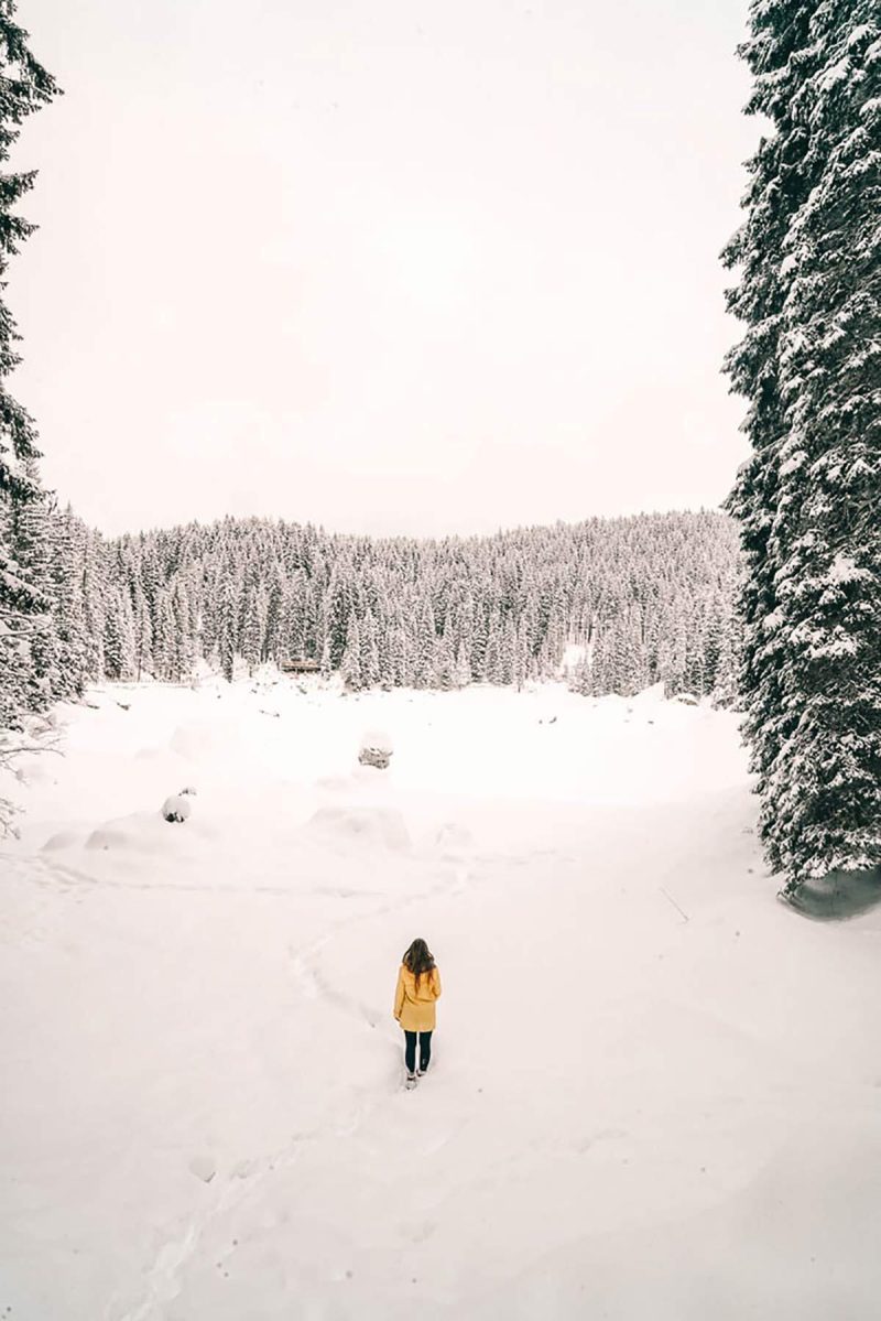 Friesennerz Karersee