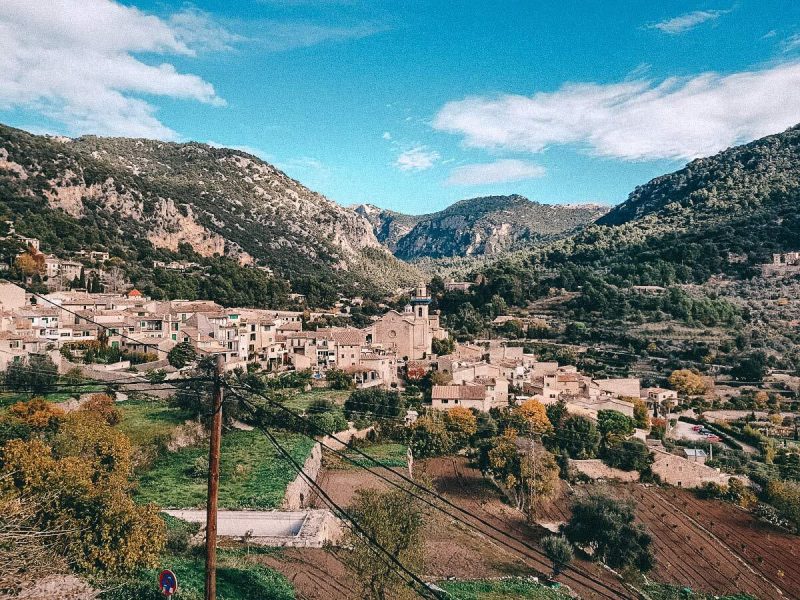 hort de cartoica valldemossa