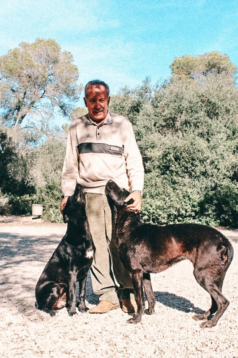 montserrat mit hunden