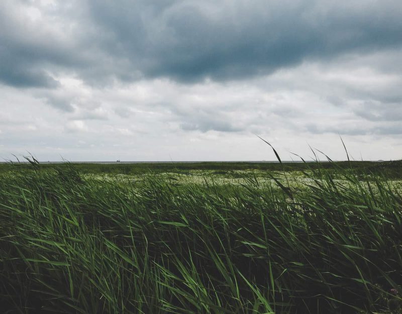 Naturschutz Terschelling
