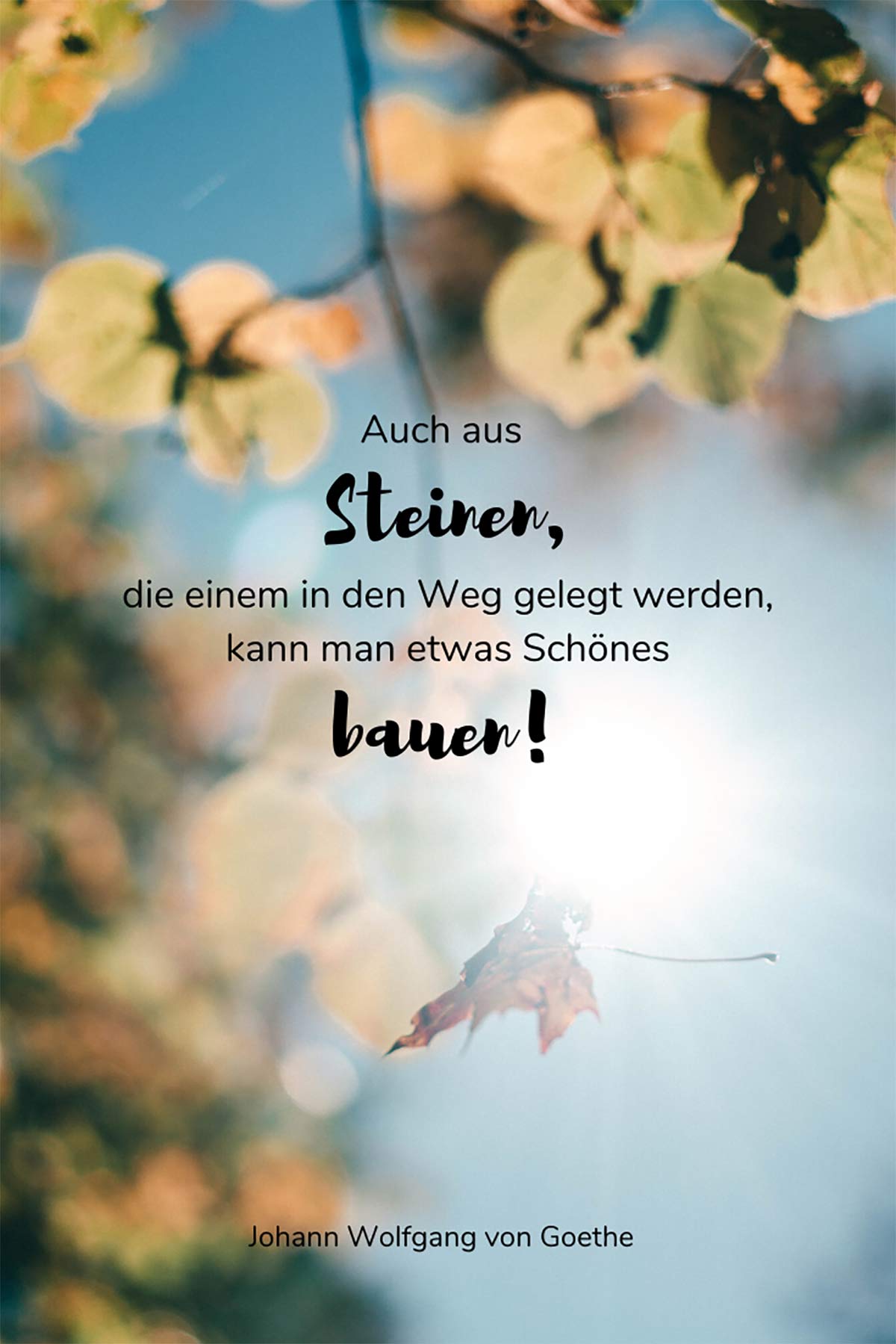 Schauen nach sprüche vorn Spruch Nach