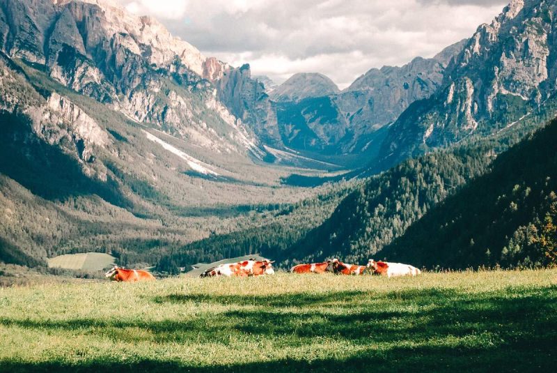 Wanderung St Vigli Südtirol