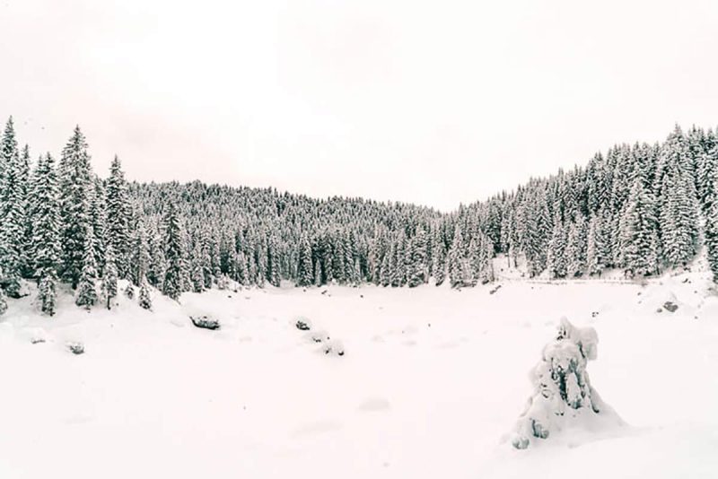Winterwonderland Suedtirol