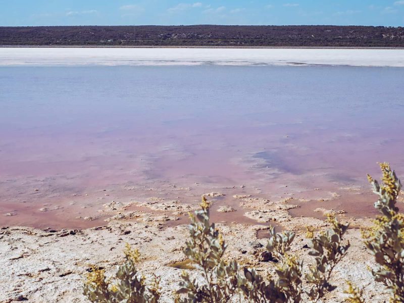 Hutt Lagoon Pinker See Westaustralien