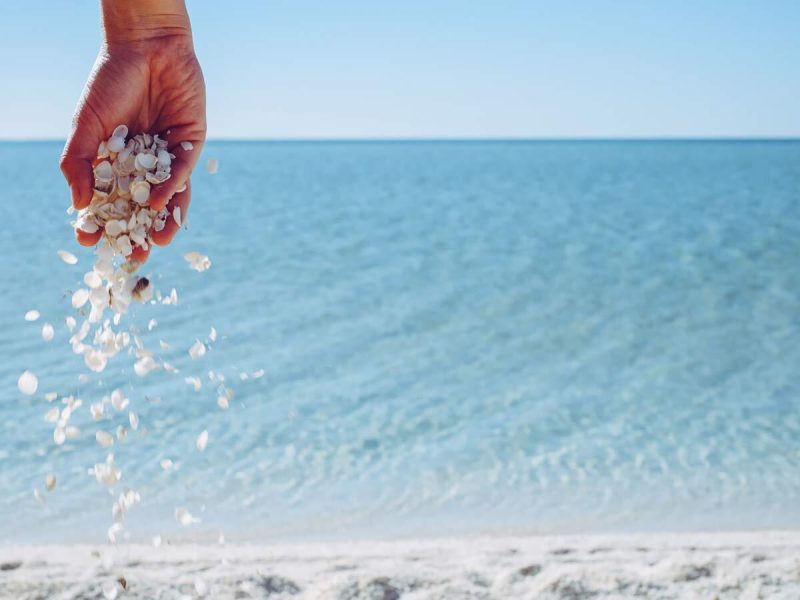 Shellbeach Westaustralien