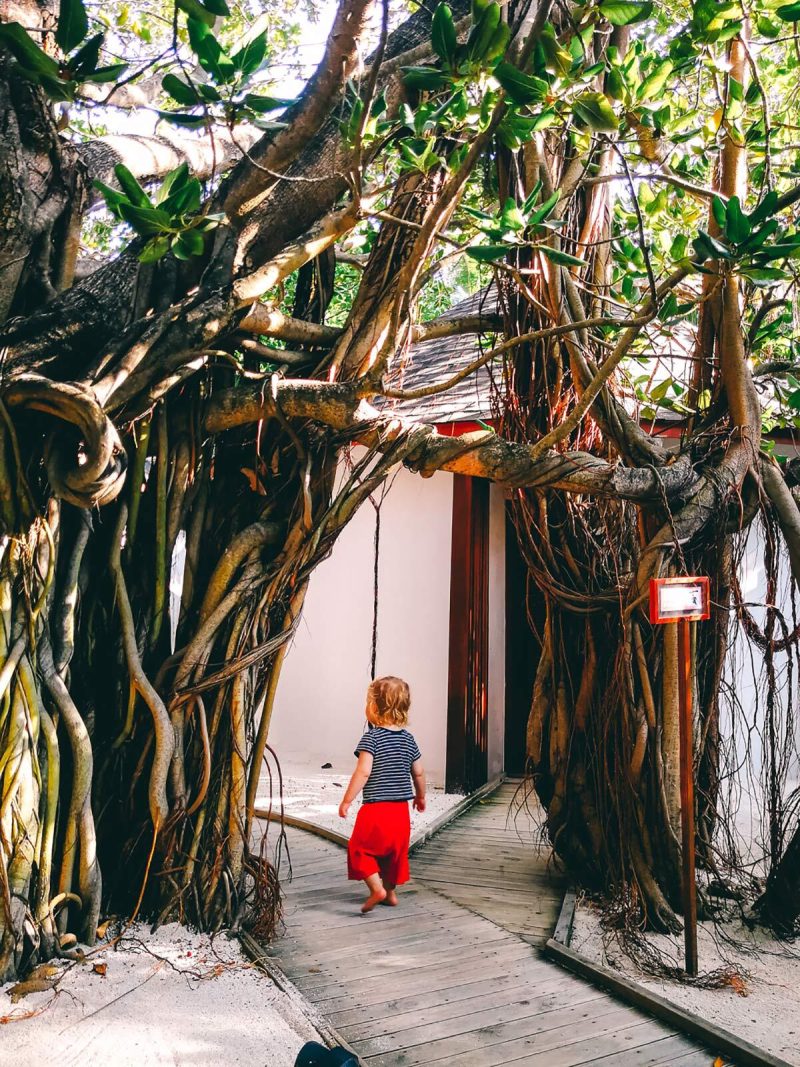 Spa Bereich Centara Grand