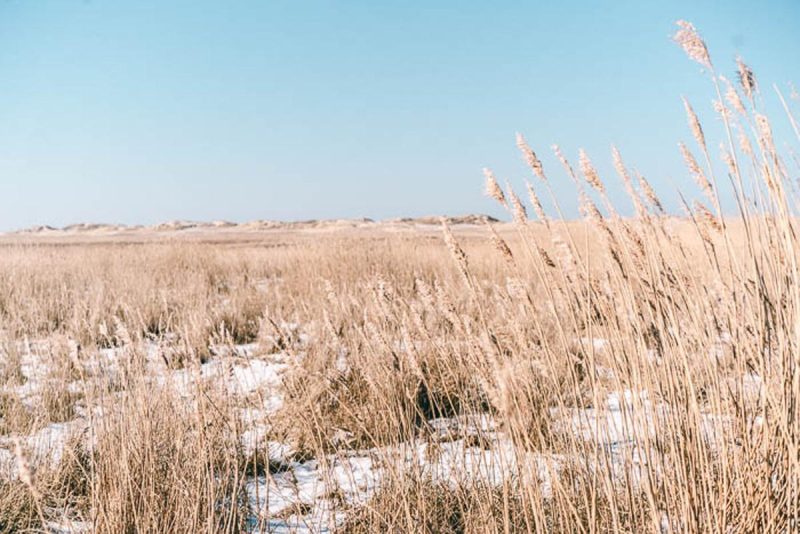 Sünen St Peter Ording