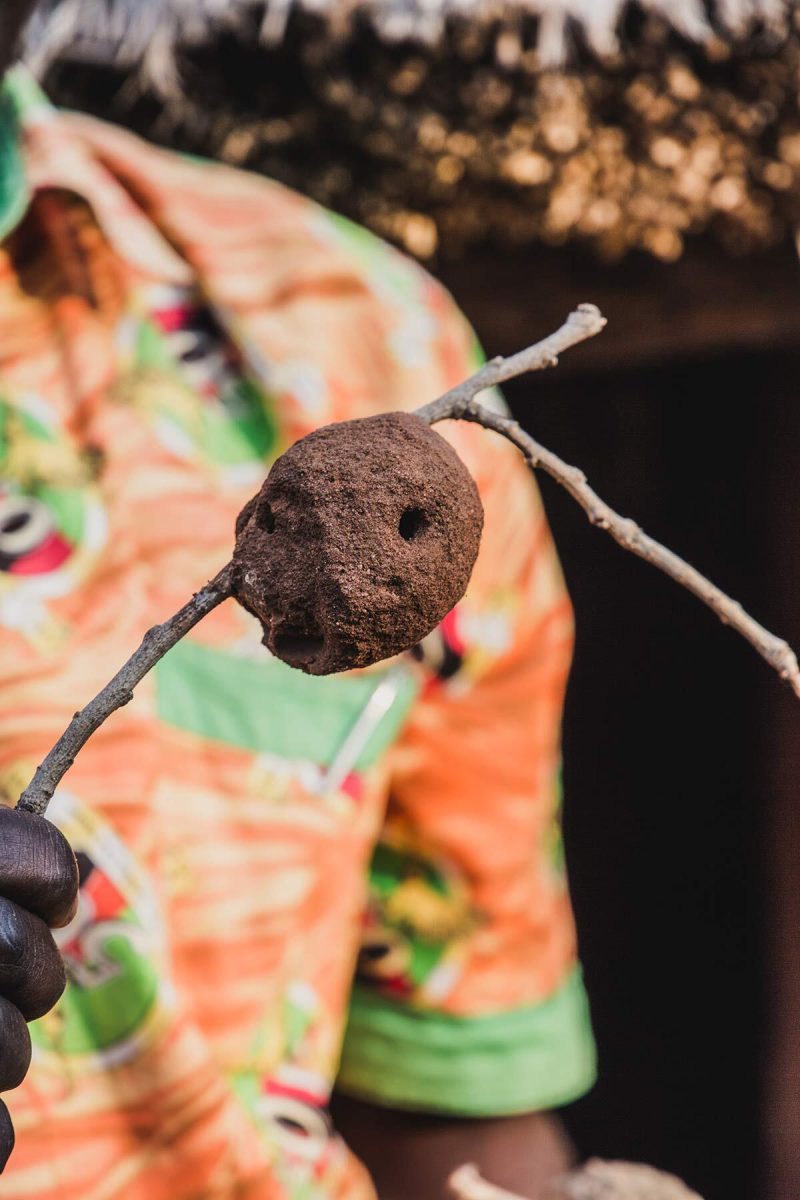 Ameisennest als afrikanische Medizin in Sambia