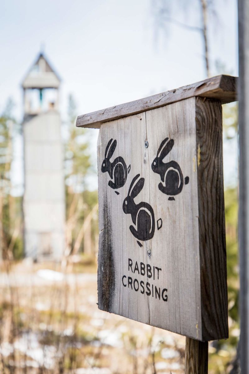 Hasen Little Rock Lake Zipline