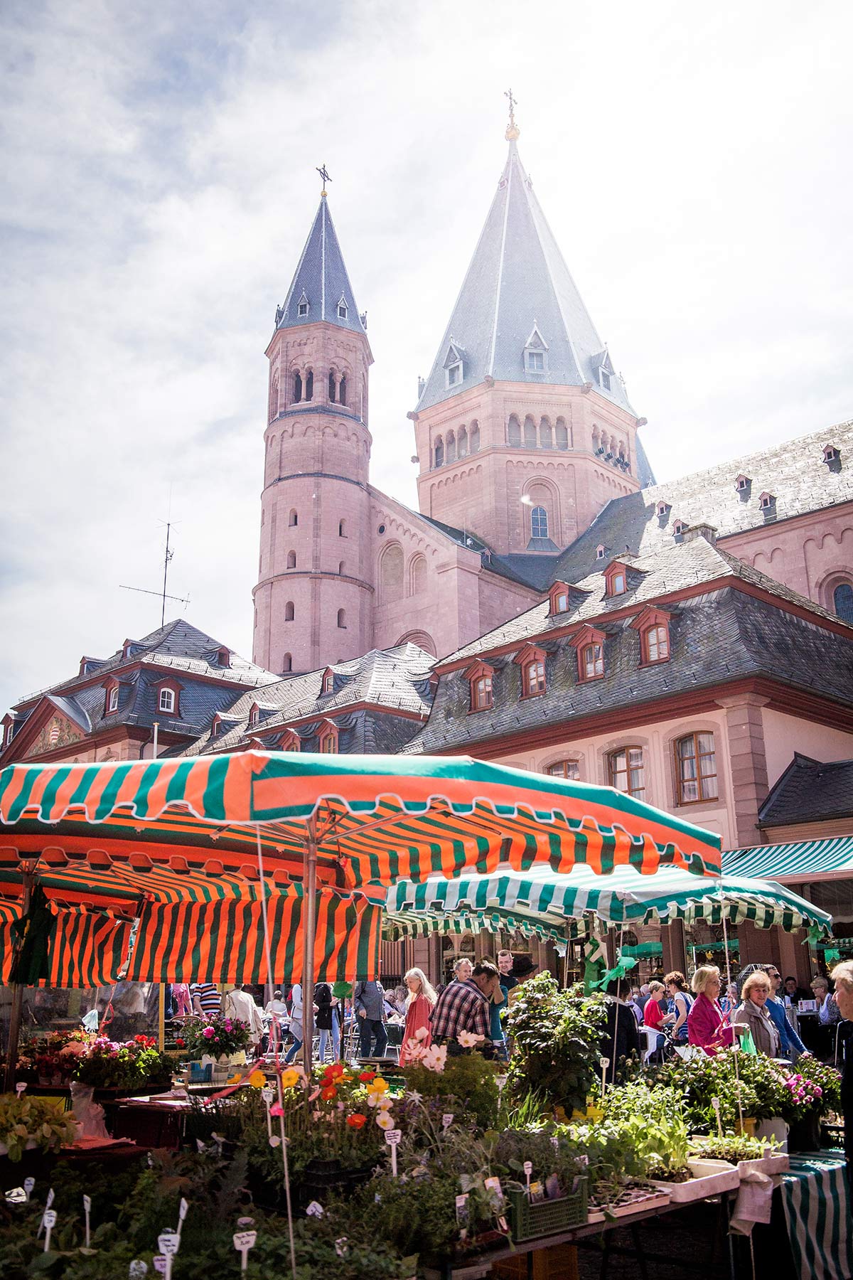 Marktplatz Mainz mit Dom