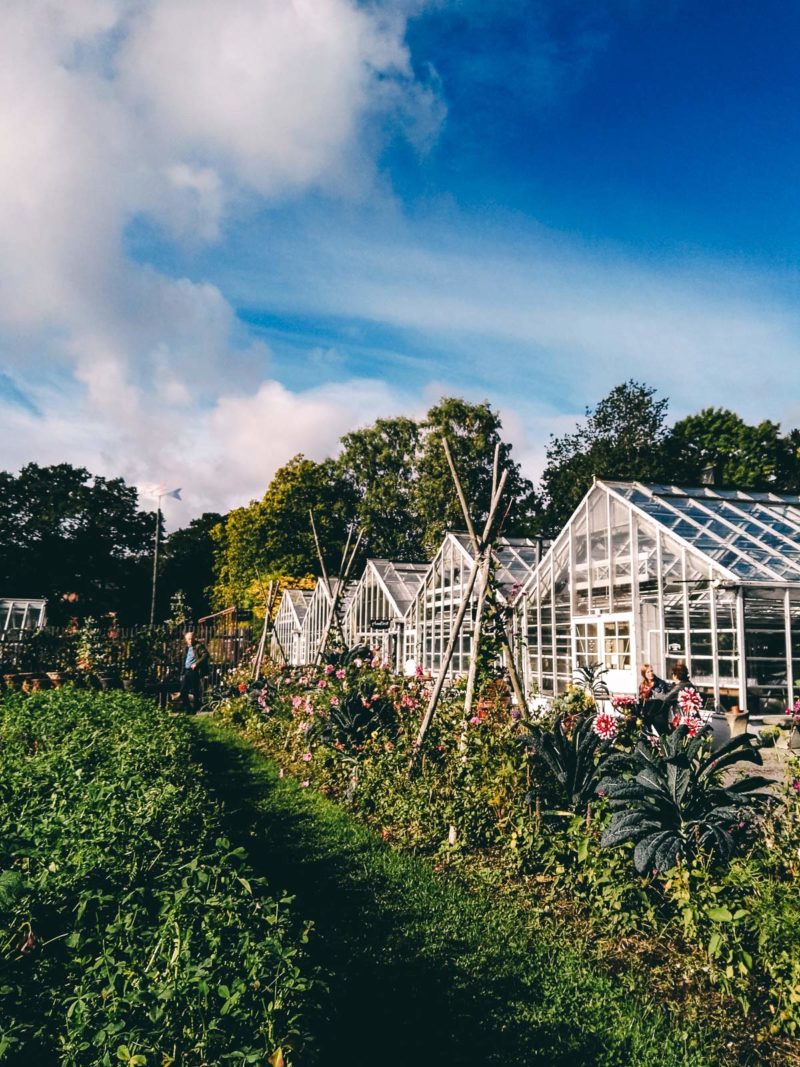 Rosendals Traegard Stockholm Reisetipps