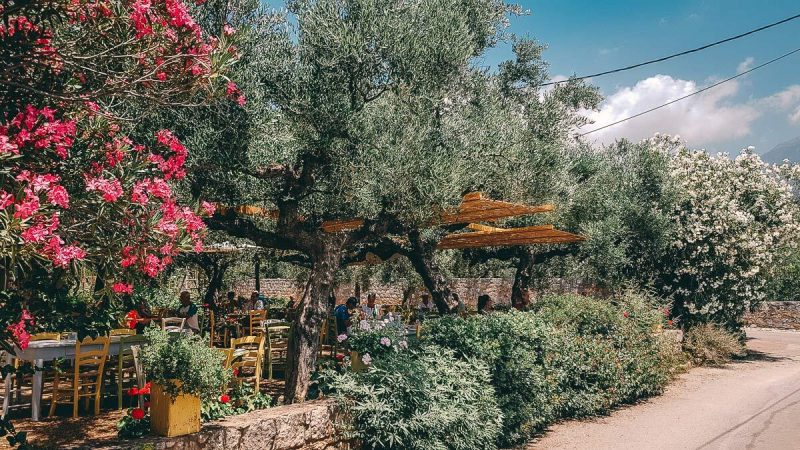 Elies Taverna