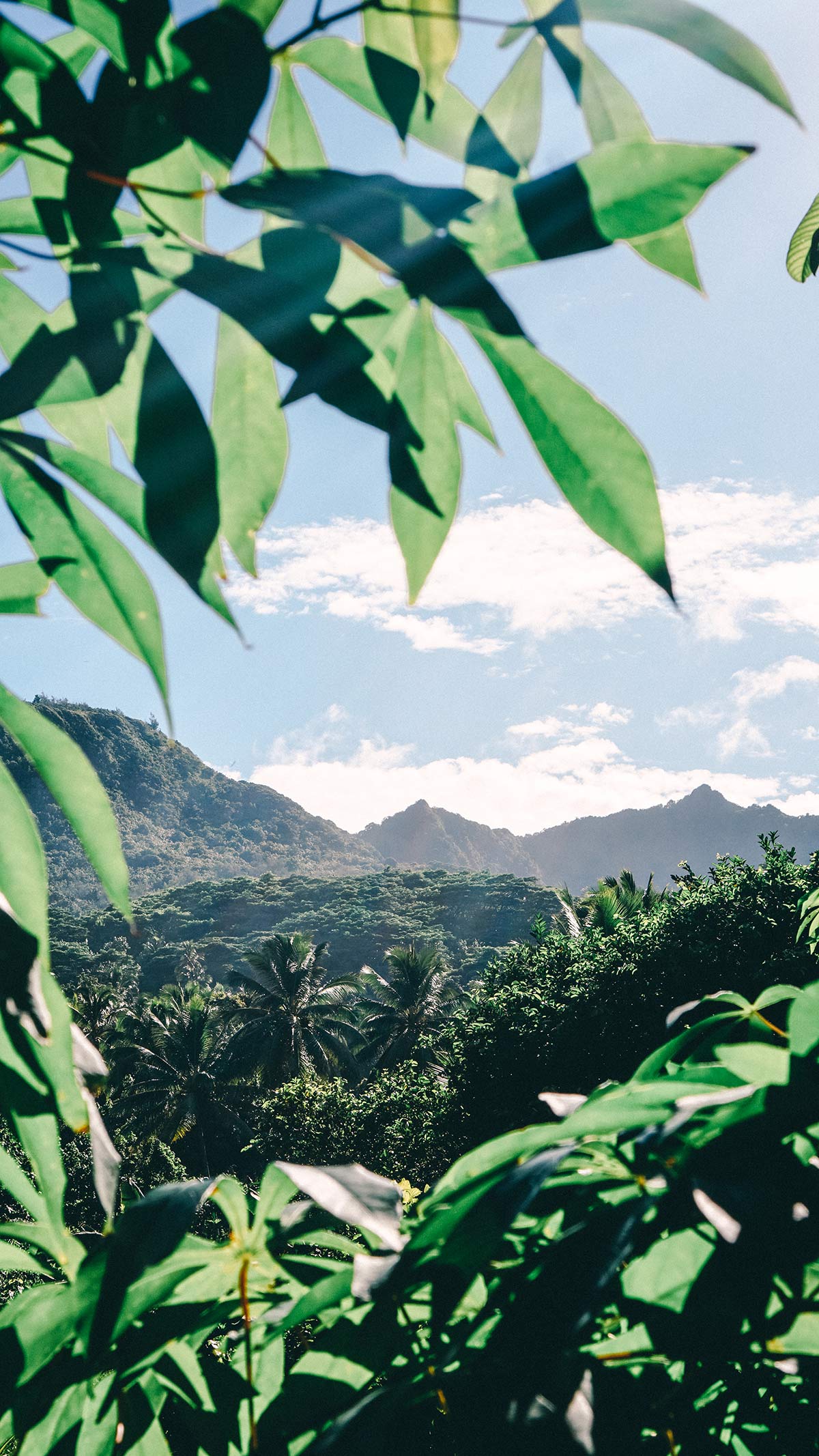 Eco Cycle Tour Rarotonga Landschaft