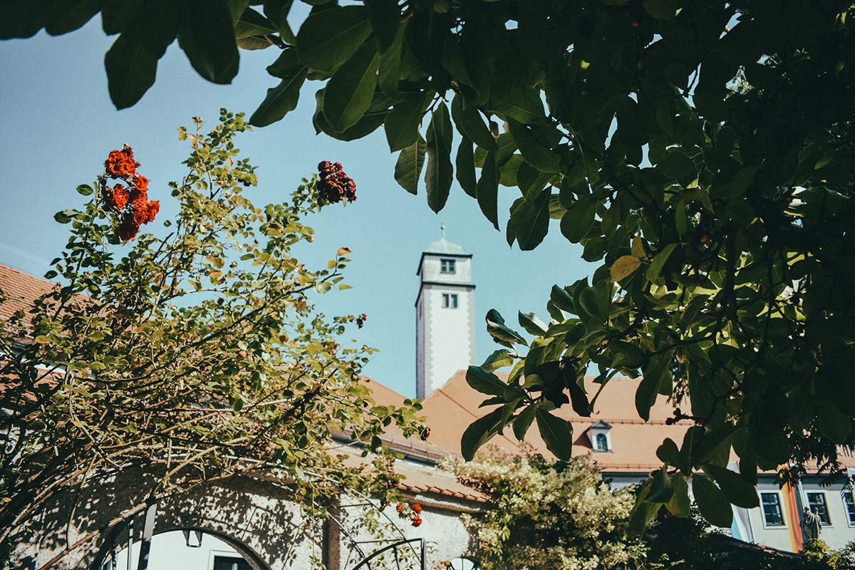 Aussicht auf den Dom