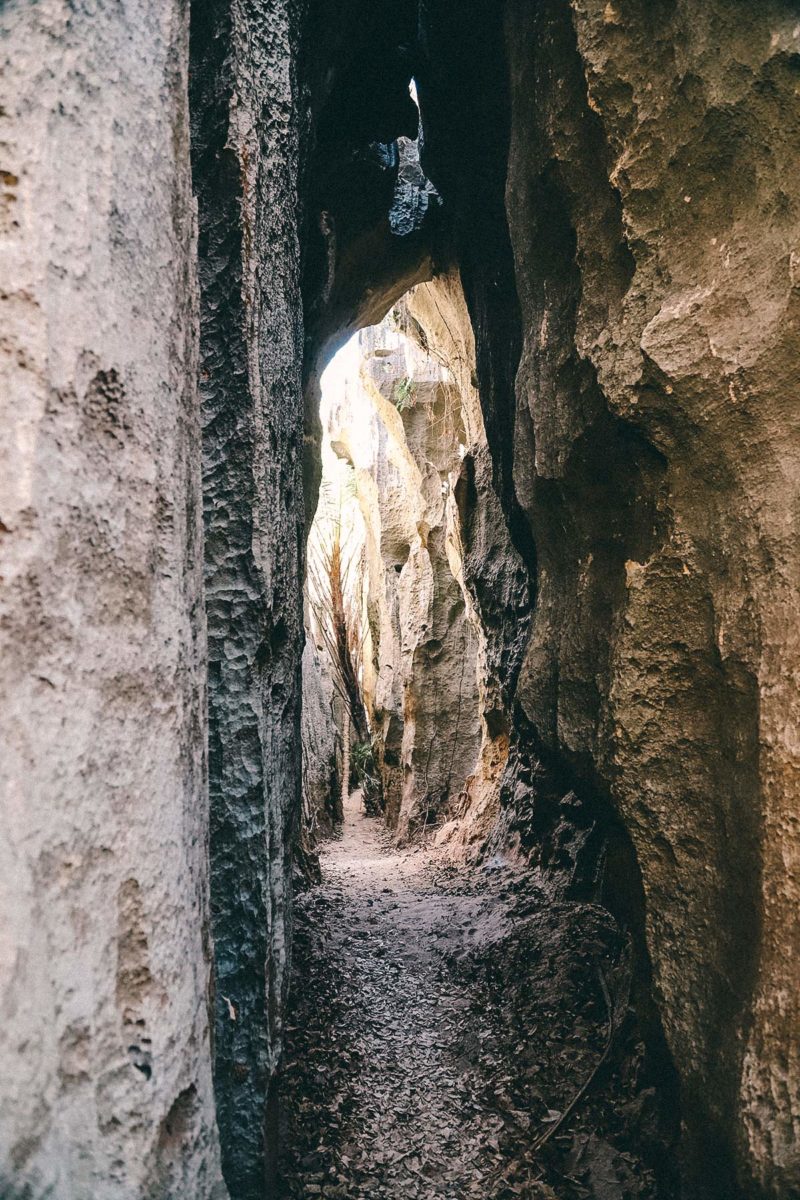 Höhlen im Tsingy Nationalpark