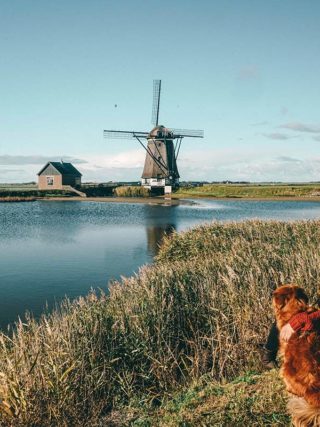 DIe Insel Texel