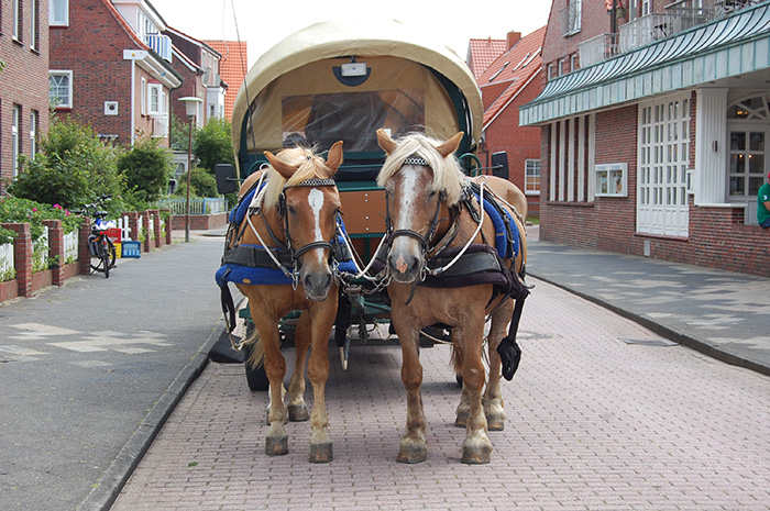 Pferdekutsche Juist