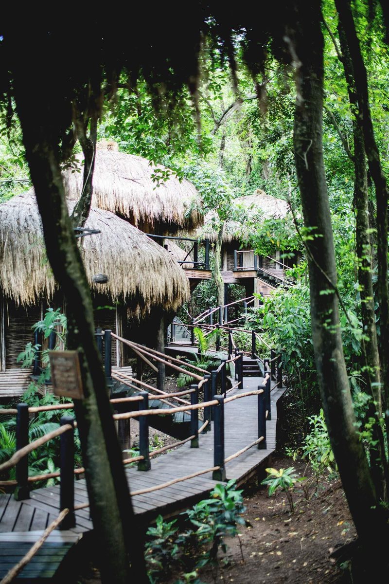 Spabereich im Regenwald