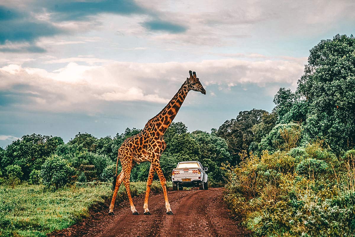 Arusha Nationalpark