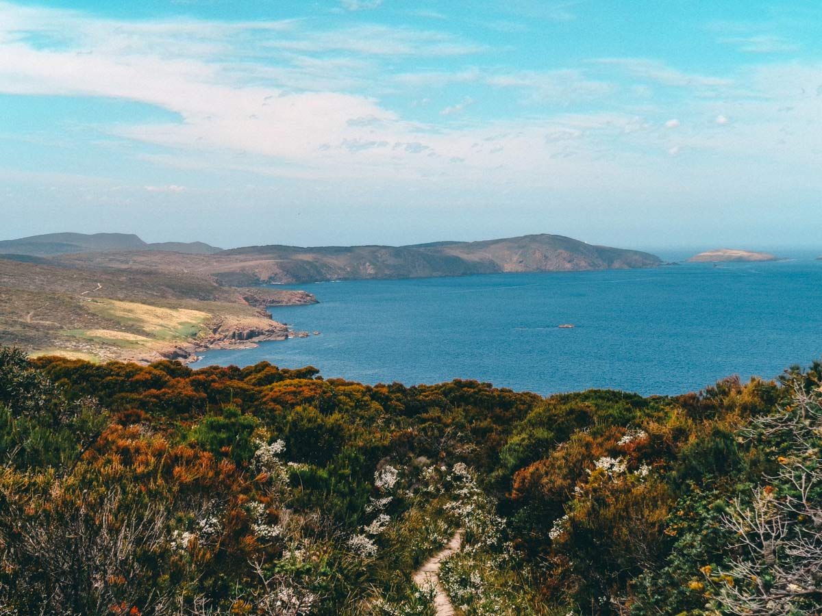 Bruny Island Roadtrip