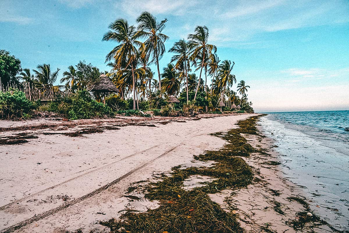 Kijongo Bay Tansania