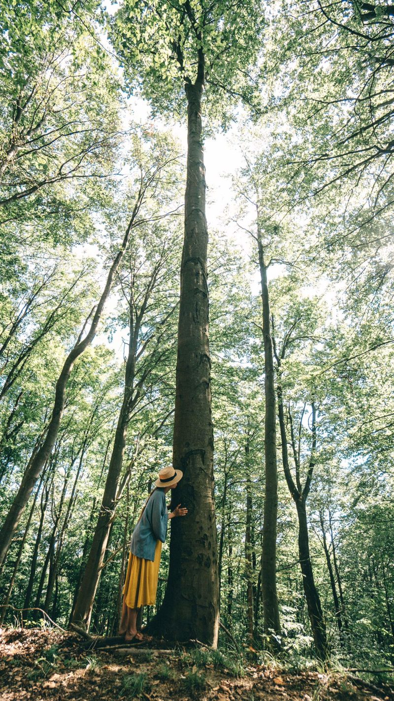 Waldbaden Baum riechen