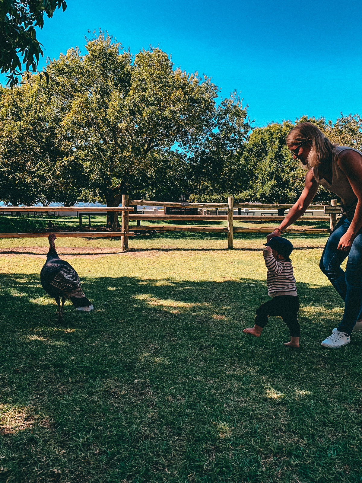 Babylonstoren in den Winelands