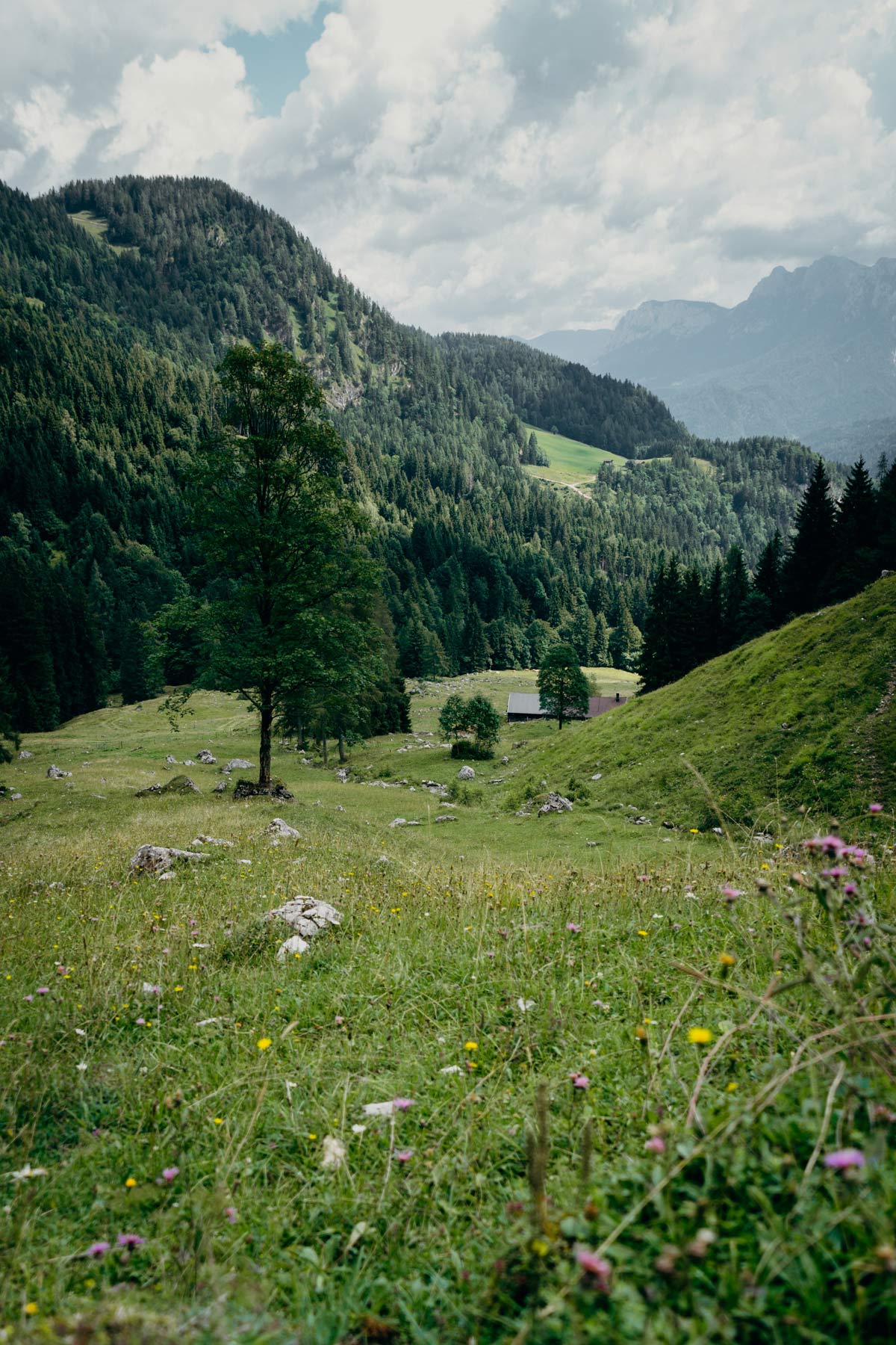 Wanderung durch Almwelt Lofer