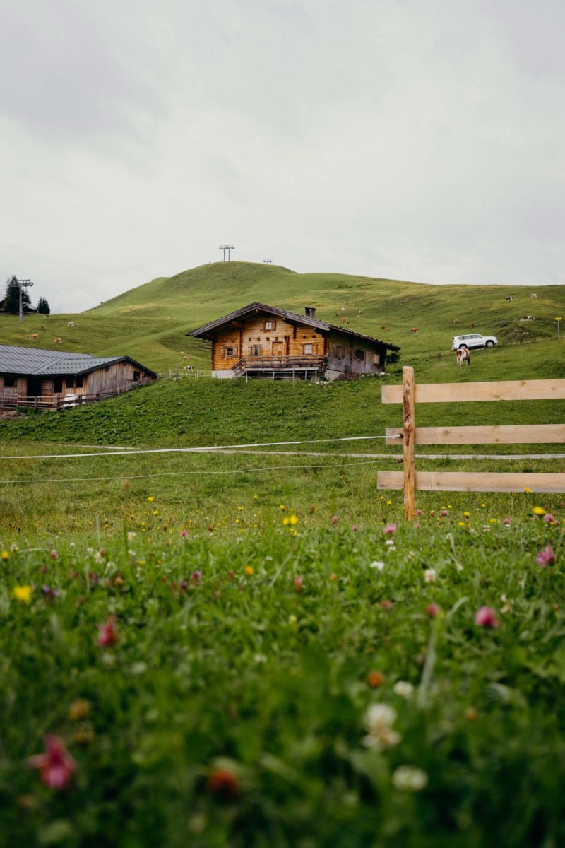 Wanderung mit Herrmann