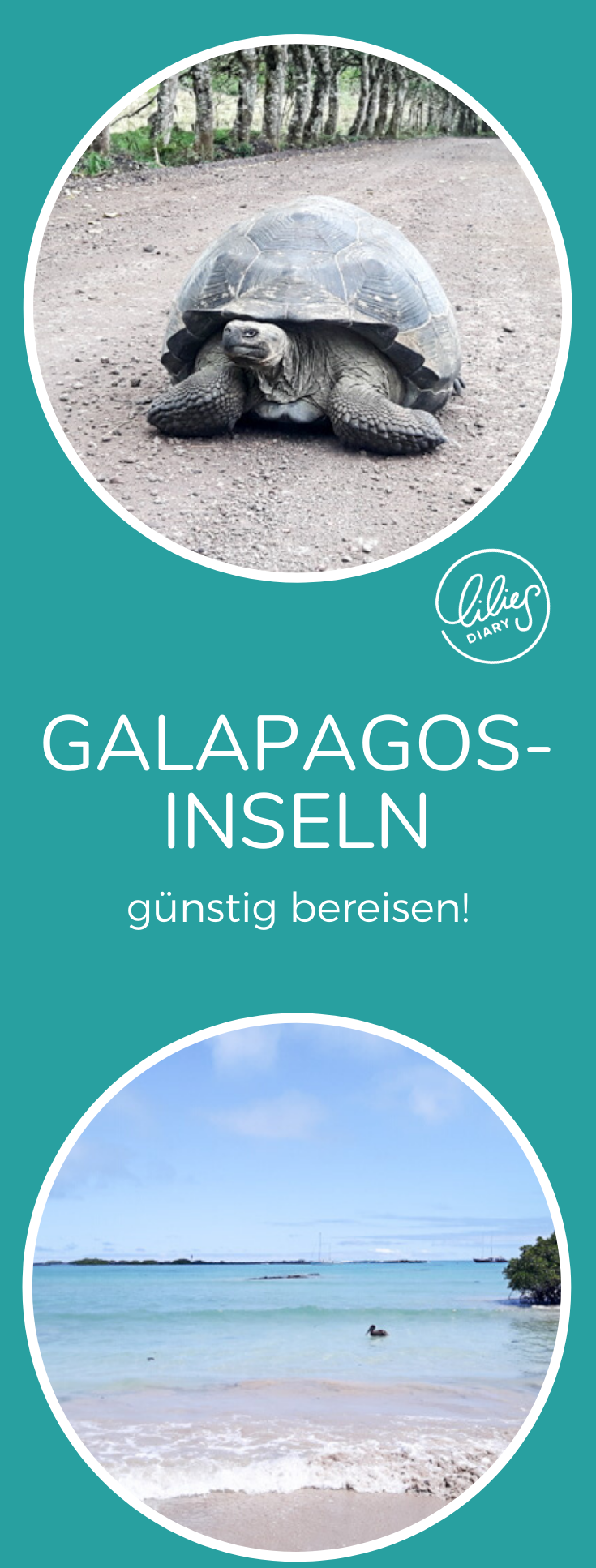 galapagosinseln günstig bereisen