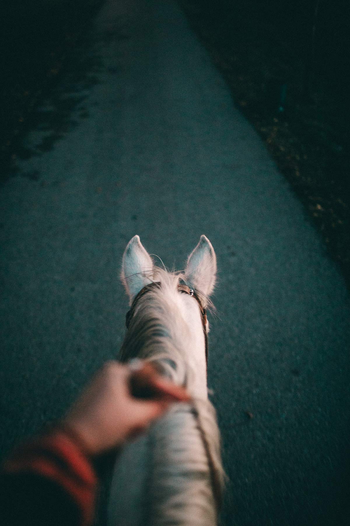 reiten in georgien