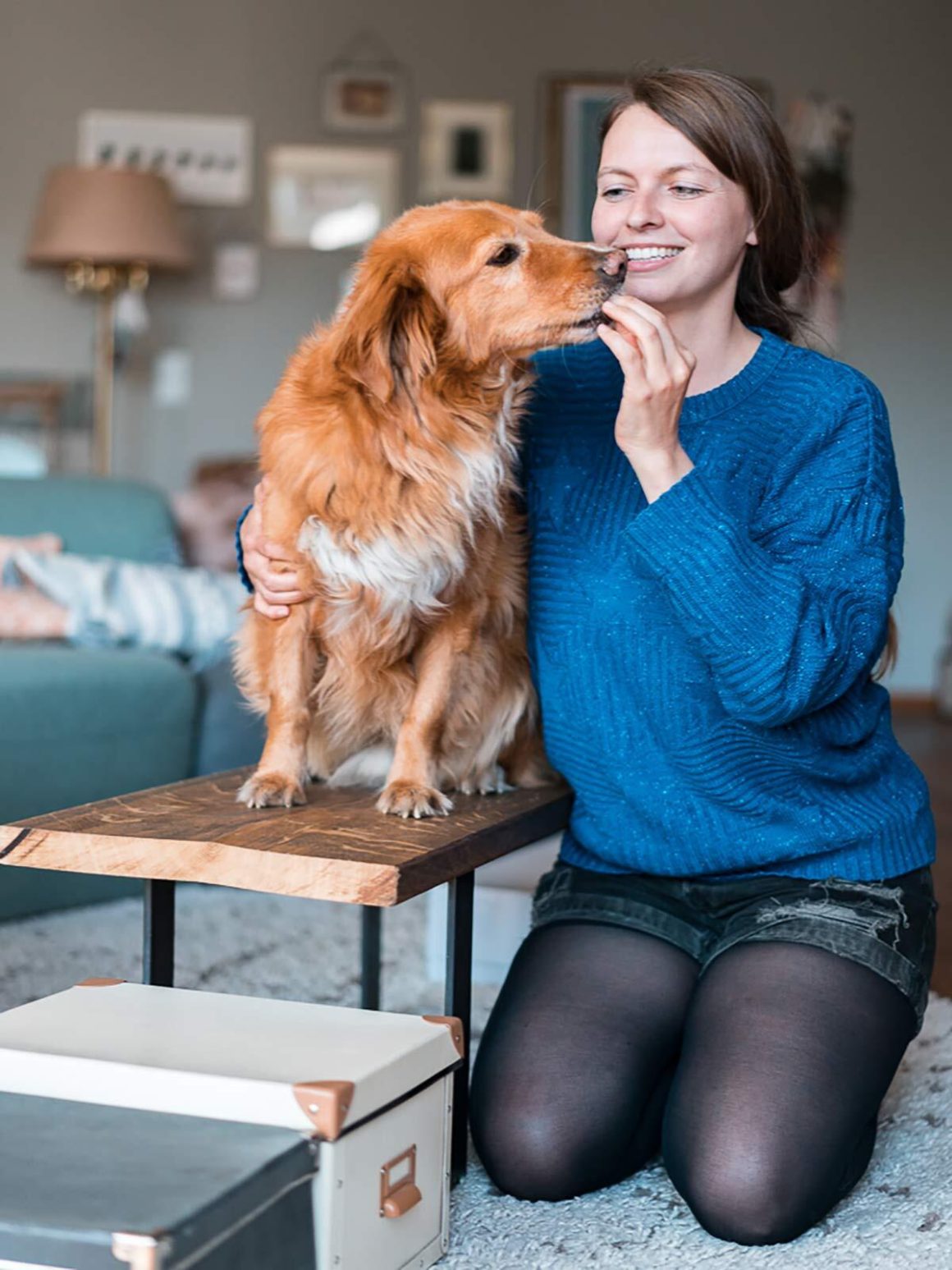 Hundebeschäftigung zu Hause – 7 Ideen für artgerechte Spiele