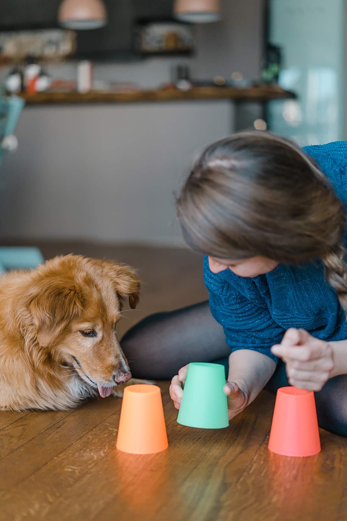 Hundebeschäftigung zu Hause Becherspiel