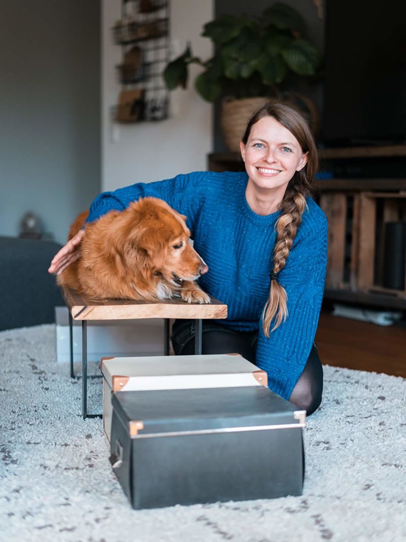 Hundebeschaeftigung zu Hause