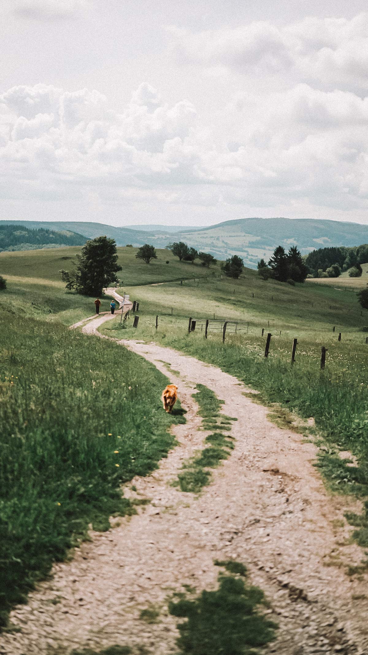 Wanderweg Rhoen Wasserkuppe