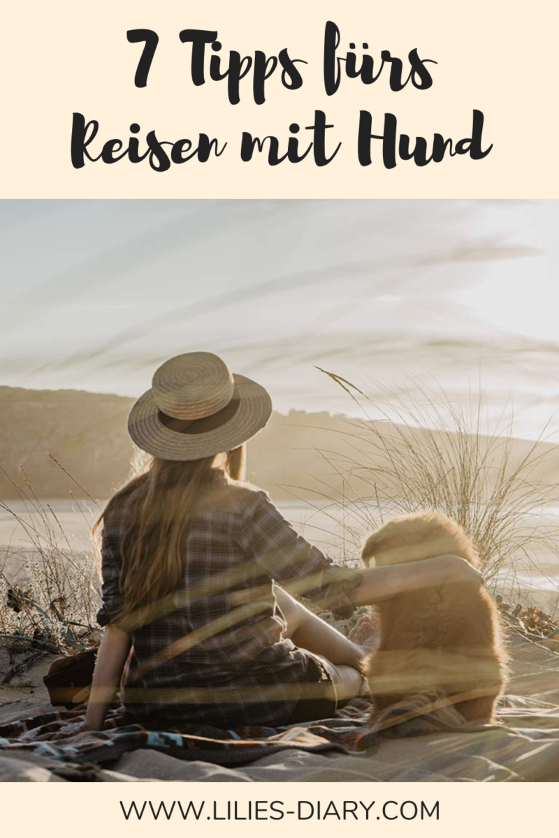 Urlaub mit Hund Oesterreich