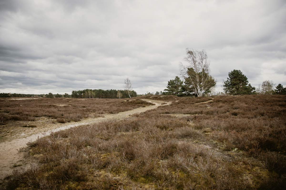 Nemitzer Heide wandern