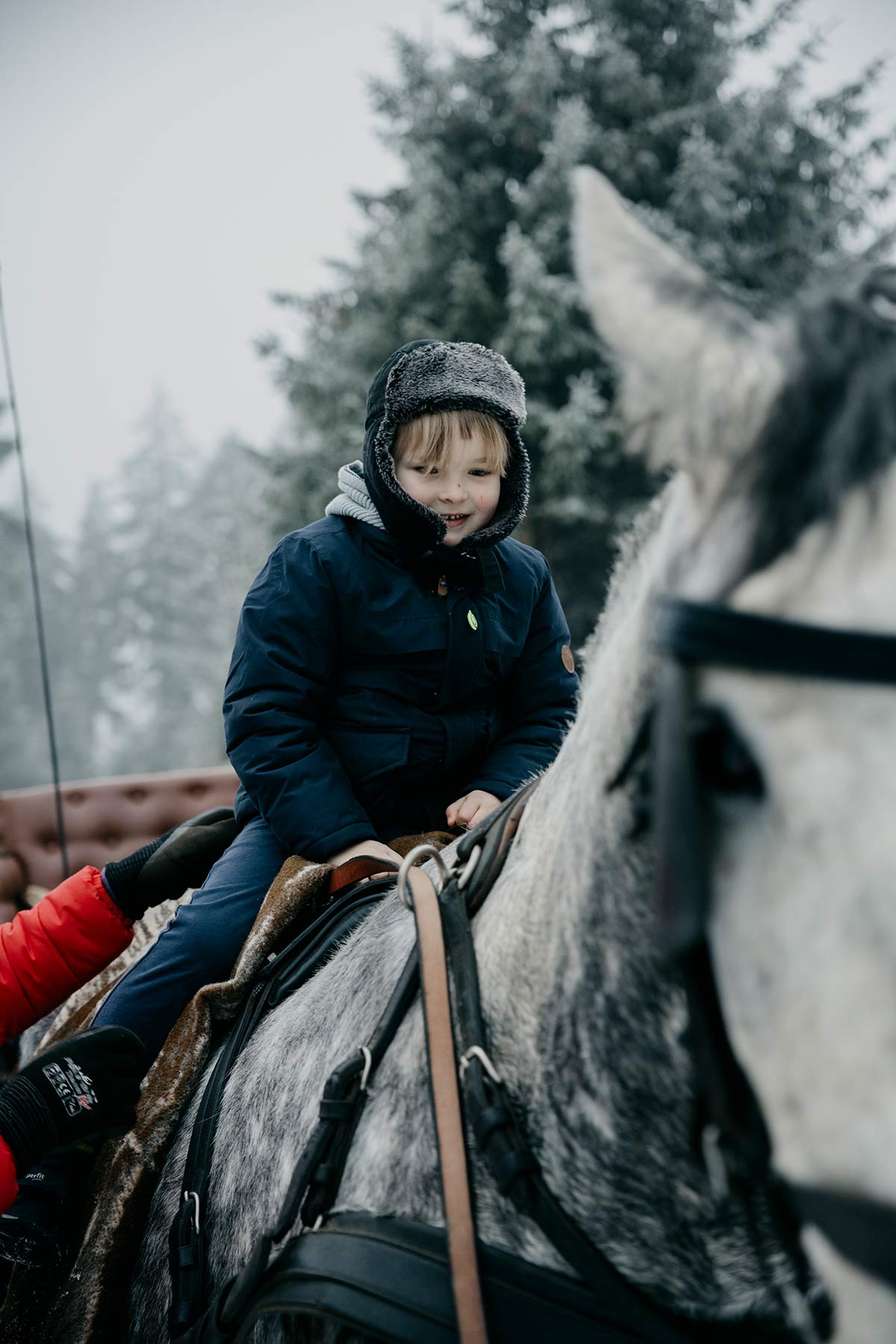 Ausflugsziele Sauerland mit Kind