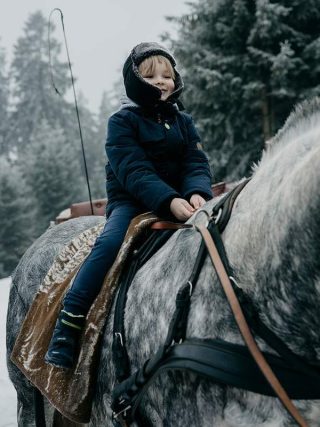 Kutschfahrt mit Kind Sauerland